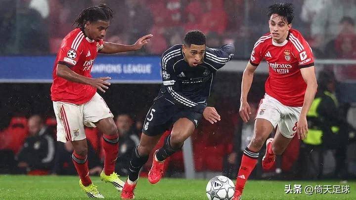 官方在线-博阿维斯对战本菲卡预测最新